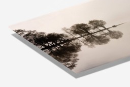 Rackhams Misty Loch Ard - Framed Print 20 x 16 inch - thumbnail 4