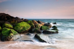 Rackhams Moss on the Rocks - Framed Print 30 x 20 inch - thumbnail 4