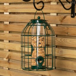 Rackhams Wild Bird Seed Feeder Cage with Squirrel Guard