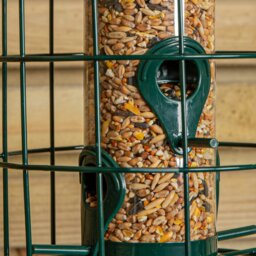 Rackhams Wild Bird Seed Feeder Cage with Squirrel Guard - thumbnail 6