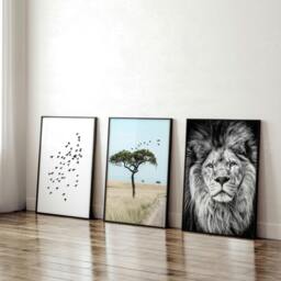 Rackhams Living Room Wall Art Canvas - Set of 3 African Wildlife Wall art Prints - 20 x 30 in / 50 x 76 cm - Polyester Canvas 260 gsm - Canvas wrapped - thumbnail 2