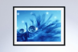 Rackhams Star Drops - Framed Print 20 x 16 inch - thumbnail 1