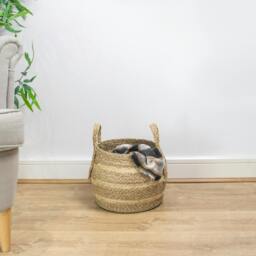 Rackhams Palma Natural Woven Belly Storage Basket with Handles for Living Spaces, Brown - thumbnail 6