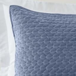 Rackhams Attica Velvet Embroidered Pillow sham Pair Blue - Blue - thumbnail 2