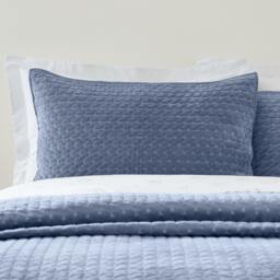 Rackhams Attica Velvet Embroidered Pillow sham Pair Blue - Blue