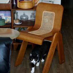 Rackhams Nita Curved Rattan Dining Chair, Rubber Wood - Black - thumbnail 5