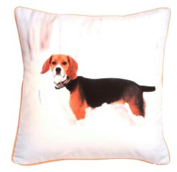 Rackhams Adorable Bold Print Animal Cushion - 43cm x 43cm - Horse - thumbnail 4