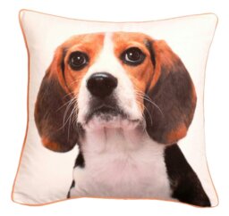 Rackhams Adorable Bold Print Animal Cushion - 43cm x 43cm - Horse - thumbnail 2