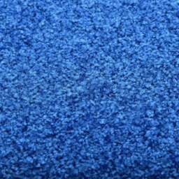 Rackhams Doormat Washable Blue 90x150 cm - thumbnail 4