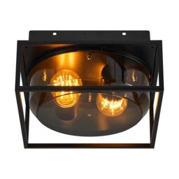 Rackhams Griffin - Ceiling light - Smoked - 1