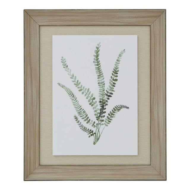 Rackhams Delicate Fern Watercolour Wood Framed Art Print - Brown/White/Green - One Size - Brown/White/Green