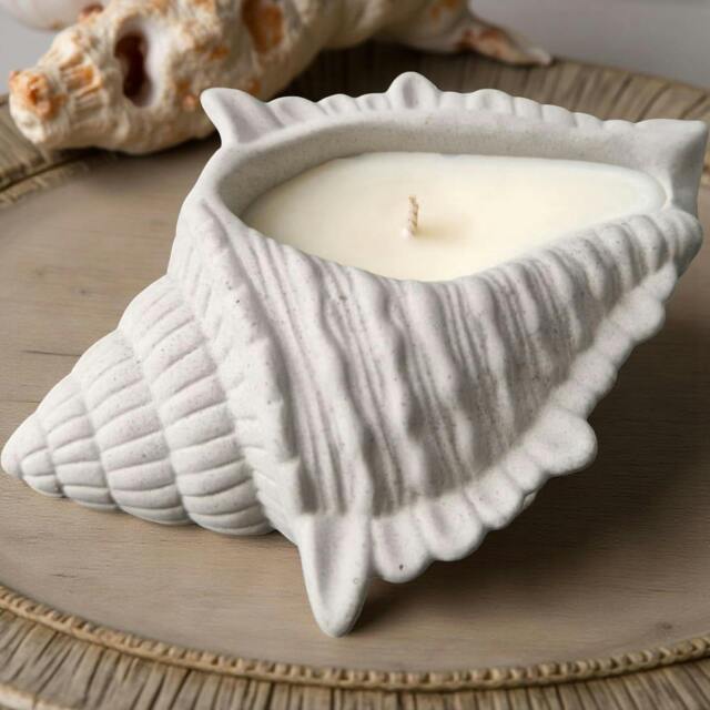 Rackhams Conch Candle - image 1