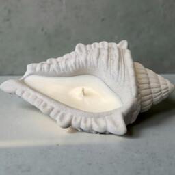Rackhams Conch Candle - thumbnail 5