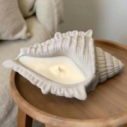 Rackhams Conch Candle - thumbnail 4