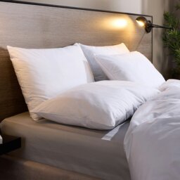 Rackhams Luxurious Cotton Medium Support Pillow - Medium - 4 - thumbnail 1