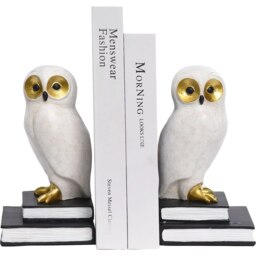 Rackhams Wise White Owl Bookends - thumbnail 1