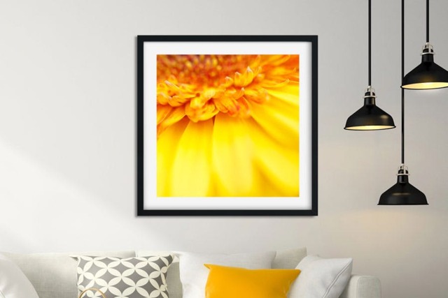 Rackhams Yellow Gerbera - Framed Print 20 x 20 inch - image 1
