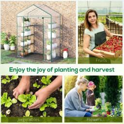 Rackhams Walk in Greenhouse with 4-Tier 8 Shelves, Green House with Hemmed Cover, Roll-up Zipped Door, Steel Frame, 143 x 73 x 195cm - thumbnail 6