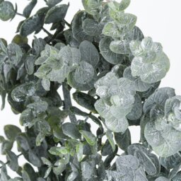Rackhams Eucalyptus Christmas Candle Wreath - Green - 28cm x 8cm x 28cm - Green - 100% Mixed - thumbnail 3