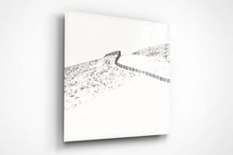 Rackhams The White Road - Framed Print 16 x 16 inch - thumbnail 2