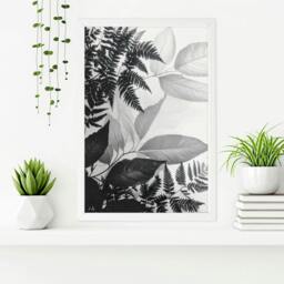 Rackhams Bathroom Wall Prints - Set of 3 Botanical Wall art Prints - 20 x 30 in / 50 x 76 cm - Matte Museum Quality Art Paper 290 gsm - Black Frame - thumbnail 6