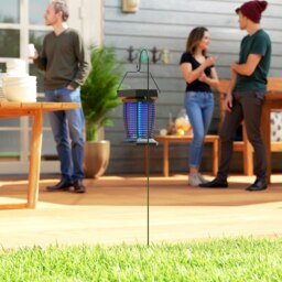 Rackhams 2-in-1 Electric Fly Zapper with UVA Light, Hanging Garden Lantern - Black - Dia. 18.5 x 23.5H cm - thumbnail 1