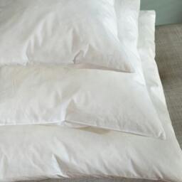 Rackhams Duck Feather Cushion Pads - Small - Rectangle - thumbnail 2