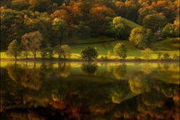 Rackhams Autumn in Grasmere - Framed Print 30 x 20 inch - thumbnail 3
