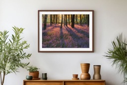 Rackhams Bluebell Dawn - Framed Print 20 x 16 inch