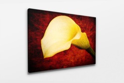 Rackhams The Beauty of Form - Framed Print 30 x 20 inch - thumbnail 2