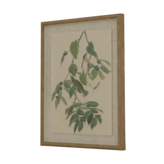 Rackhams Flora & Fauna Collection Warblers Beaded Linen Framed Wall Art - Brown/White/Green - Brown/White/Green - 50cm x 2cm x 40cm - Brown/White/Green - image 1