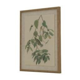 Rackhams Flora & Fauna Collection Warblers Beaded Linen Framed Wall Art - Brown/White/Green - Brown/White/Green - 50cm x 2cm x 40cm - Brown/White/Green - thumbnail 1