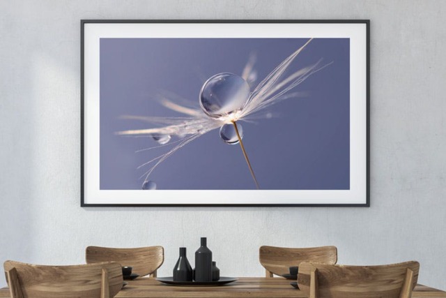 Rackhams Free Spirit - Framed Print 16 x 12 inch - image 1