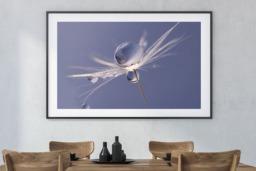 Rackhams Free Spirit - Framed Print 16 x 12 inch