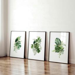 Rackhams Large prints for living room - set of 3 Tropical wall art prints - 20 x 30 in / 50 x 76 cm - Matte Museum Quality Art Paper 290 gsm - Oak Frame - thumbnail 6