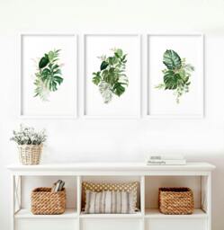 Rackhams Large prints for living room - set of 3 Tropical wall art prints - 20 x 30 in / 50 x 76 cm - Matte Museum Quality Art Paper 290 gsm - Oak Frame - thumbnail 1