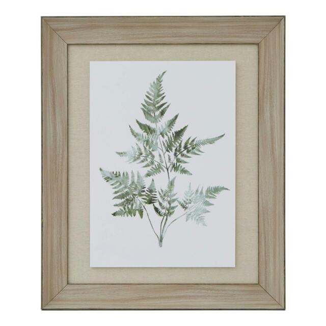 Rackhams Bracken Fern Framed Art Print - Brown/White/Green - One Size - Brown/White/Green
