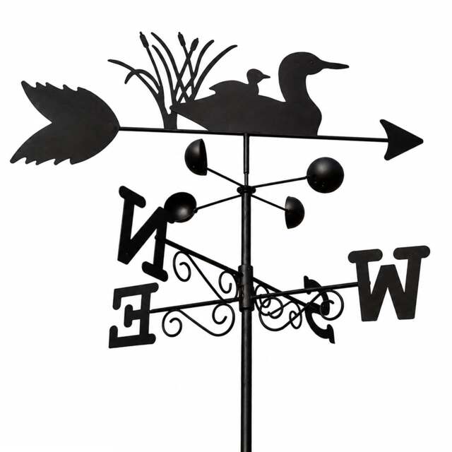 Rackhams Swimming Ducks Weathervane, All-Steel Black Painted Weather Vane With Wall Fixings and 1.7m Ground Spike, Wind Speed Cups - image 1