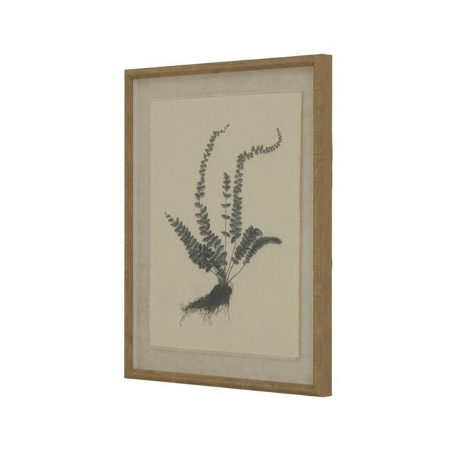 Rackhams Flora & Fauna Collection Spleenwort Beaded Linen Framed Wall Art - Black/White - Black/White - 50cm x 2cm x 40cm - image 1