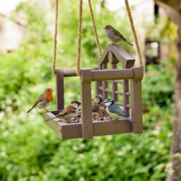 Rackhams Swing Seat Bird Feeder for Small Birds – Washable & Hygienic - thumbnail 4