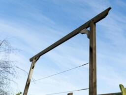 Rackhams Screen Pergola, Plant Climbing Arbour - Longhorn Sculpted Brace - Natural (Light Green) - One Row Kit - 2.4m - thumbnail 6