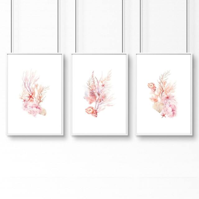 Rackhams Large Paintings For Wall - Set of 3 Seashells Wall art Prints - 20 x 30 in / 50 x 76 cm - Satin Photo paper 280 gsm - White Frame - image 1