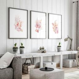 Rackhams Large Paintings For Wall - Set of 3 Seashells Wall art Prints - 20 x 30 in / 50 x 76 cm - Satin Photo paper 280 gsm - White Frame - thumbnail 4