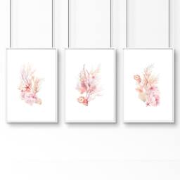 Rackhams Large Paintings For Wall - Set of 3 Seashells Wall art Prints - 20 x 30 in / 50 x 76 cm - Satin Photo paper 280 gsm - White Frame - thumbnail 1