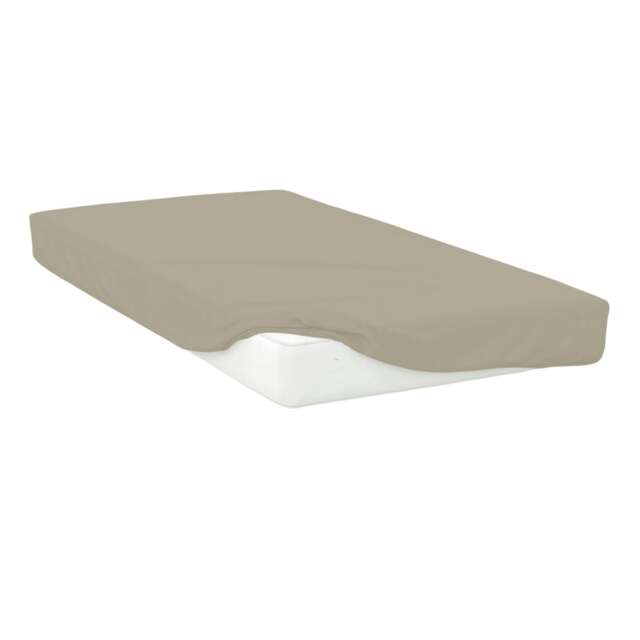 Rackhams Easycare Percale Fitted Sheet - Mushroom - Double - Mushroom - 50% Cotton/50% Polyester - image 1