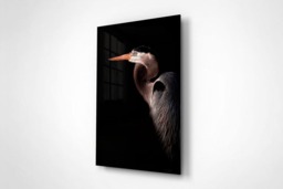 Rackhams Great Blue Heron Portrait - Framed Print 16 x 12 inch - thumbnail 2