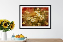 Rackhams Dreaming of Daisies - Framed Print 16 x 12 inch - thumbnail 1