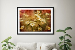 Rackhams Dreaming of Daisies - Framed Print 16 x 12 inch - thumbnail 3