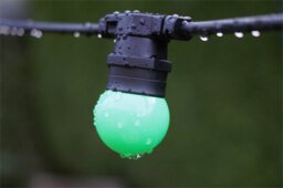 Rackhams G45 Bulb, E27 Base, Plastic Cover Green - thumbnail 3
