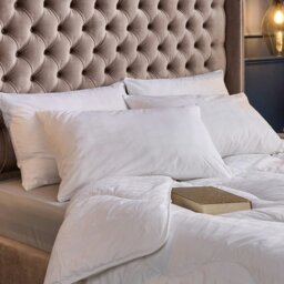Rackhams Indulgent Cotton Soft Support Pillow - 1 Pack - thumbnail 2